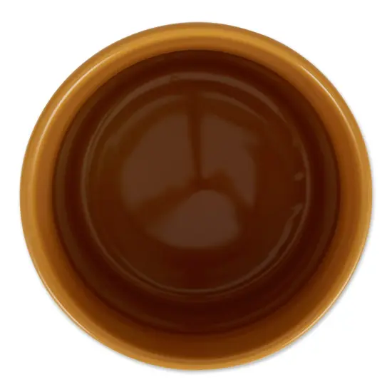 DII Honey Gold Coffee/Sugar/Tea Ceramic Canister (Set of 3) {3}