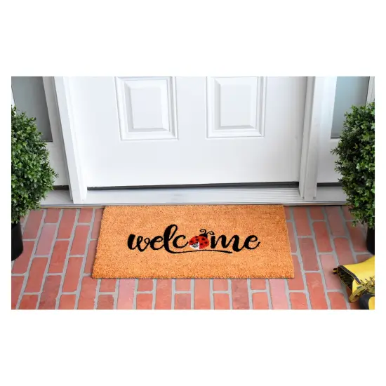 Welcome Ladybug Doormat {2}