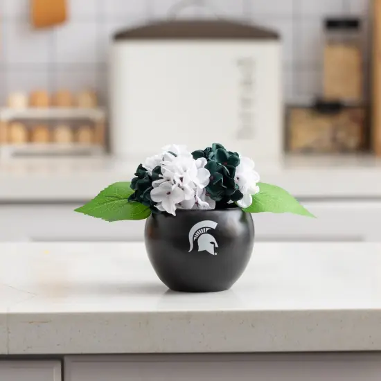 MSU Hydrangea Plant, MSU Faux Hydrangea Plant, MSU Gifts for Men, MSU Gifts for Women, MSU Gifts, Spartan Decorations, MSU Man Cave Decor, Office Accessories for Men, Desk Accessories for Women {4}