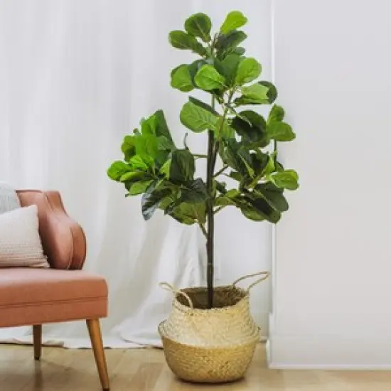 Fiddle Leaf Fig Tree - Artificial Trees for Home Decor Indoor, Faux Fiddle Leaf Fig Tree, Large Artificial Plants Indoor, Fake Tree Indoor, Fiddle Leaf Fig Tree Artificial, Artificial Tree - 5 Feet {1}