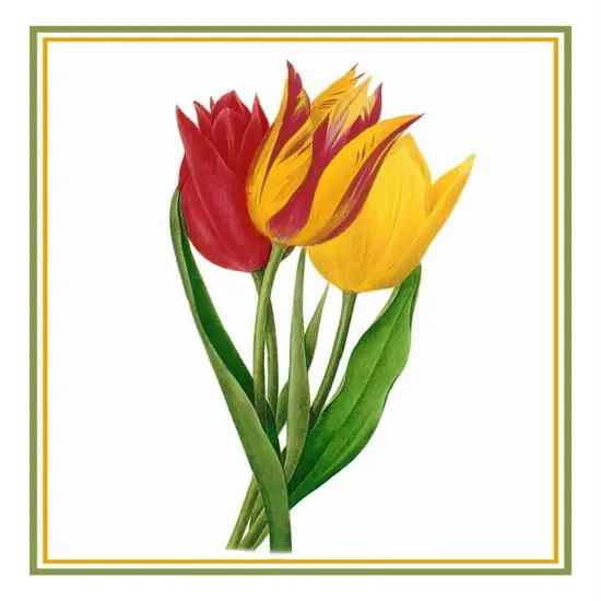 Bouquet of Tulip Flowers Inspired by Pierre-Joseph Redoute Counted Cross Stitch Pattern {2}