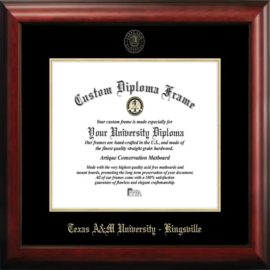Texas A&M Kingsville University 14w x 11h Gold Embossed Diploma Frame {1}