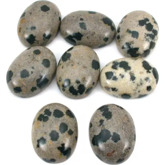 Jasper Dalmatian Oval Cabochon 16mm 8Pcs {1}