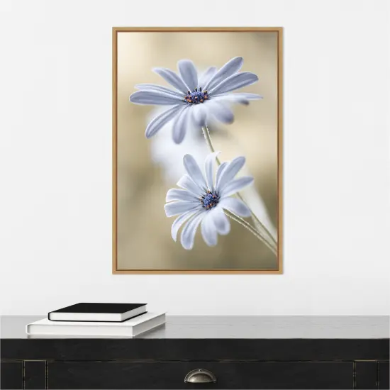 Cape daisies by Mandy Disher Canvas Wall Art Print Framed Natural {6}