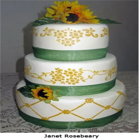 Daisy Lattice Cake Stencil #2 | C377 by Designer Stencils | Cake Decorating Tools | Baking Stencils for Royal Icing, Airbrush, Dusting Powder | Reusable Plastic Food Grade Stencil for Cakes | Easy to Use & Clean Cake Stencil {2}