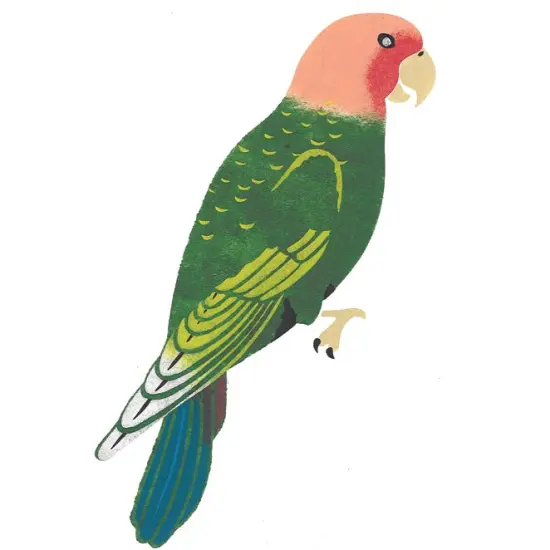 Small Parrot Wall Stencil | 2450 by Designer Stencils | Animal & Nature Stencils | Reusable Art Craft Stencils for Painting on Walls, Canvas, Wood | Reusable Plastic Paint Stencil for Home Makeover | Easy to Use & Clean Art Stencil {2}