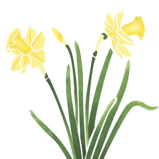 Daffodil Flower Wall Stencil | 2113 by Designer Stencils | Floral Stencils | Reusable Art Craft Stencils for Painting on Walls, Canvas, Wood | Reusable Plastic Paint Stencil for Home Makeover | Easy to Use & Clean Art Stencil {2}
