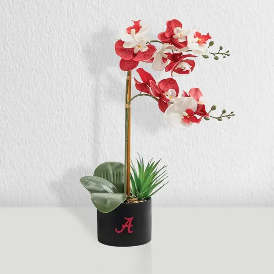 Alabama Crimson Tide Faux Snake Plant, Hydrangea and Orchid (3 Pack) - Ultimate Fan Gift Bundle {3}