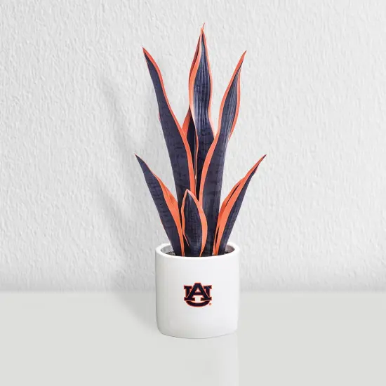 Auburn Tigers Faux Snake Plant, Hydrangea and Orchid (3 Pack) - Ultimate Fan Gift Bundle {3}