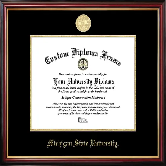 Michigan State University Petite Diploma Frame {1}