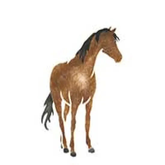Single Horse Wall Stencil | 1176 by Designer Stencils | Animal & Nature Stencils | Reusable Art Craft Stencils for Painting on Walls, Canvas, Wood | Reusable Plastic Paint Stencil for Home Makeover | Easy to Use & Clean Art Stencil {2}