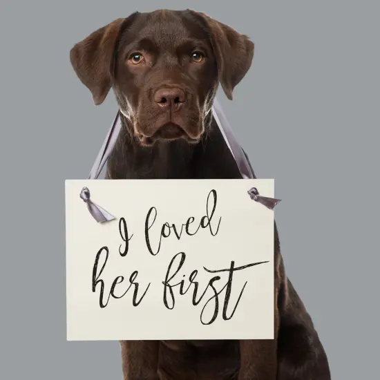 Ritzy Rose Cute Engagement Announcement Sign - Black on 11x8in Ivory Linen Cardstock with Slate Ribbon {6}