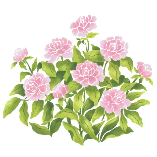 Peonies Wall Stencil | 2126 by Designer Stencils | Floral Stencils | Reusable Art Craft Stencils for Painting on Walls, Canvas, Wood | Reusable Plastic Paint Stencil for Home Makeover | Easy to Use & Clean Art Stencil {1}