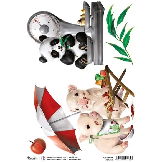 Mealtime A4 Rice Paper - My First Year - Ciao Bella {1}