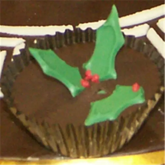 Holly 3-Dimensional Cake Stencil | C033 by Designer Stencils | Cake Decorating Tools | Baking Stencils for Royal Icing, Airbrush, Troweling, Molding | Reusable Plastic Food Grade Stencil for Cakes & Chocolates | Easy to Use & Clean Cake Stencil {2}