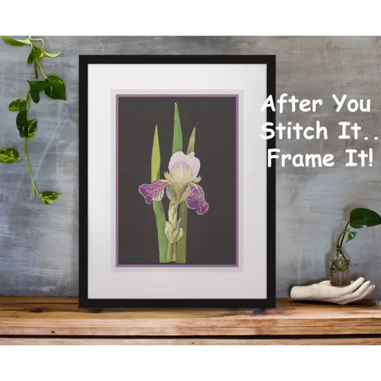 Purple Iris Flowers by Mary Delany Counted Cross Stitch Pattern {4}