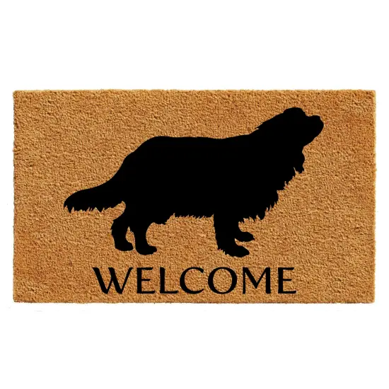 105641729 Cavalier King Charles Spaniel Doormat {1}