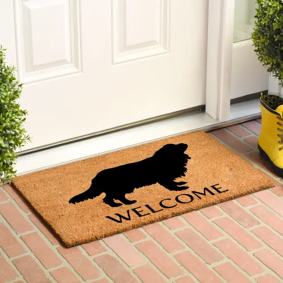 105641729 Cavalier King Charles Spaniel Doormat {3}