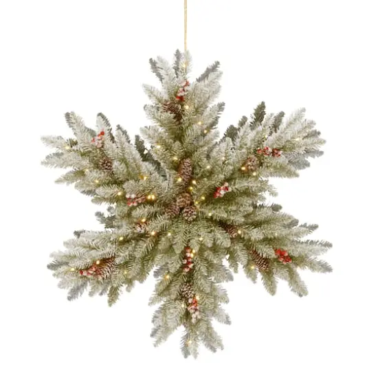 32" Snowy Dunhill® Fir Double Sided Snowflake with Pine Cones, Red Berries & Warm White LED Lights {1}