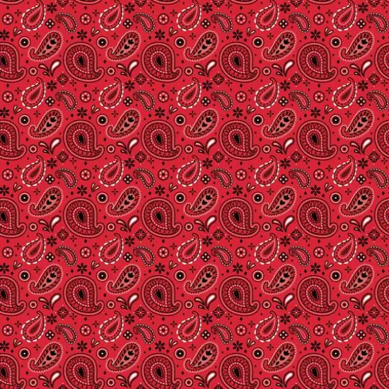 Cricut&reg; Infusible Ink&trade; Transfer Sheet Patterns, Western Sweetheart {3}