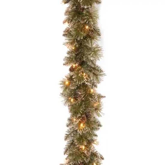 6' x 10" Pre-lit Glittery Bristle&reg; Pine Artificial Christmas Garland with Cones & 50 Battery Operated Soft White LED Lights {1}