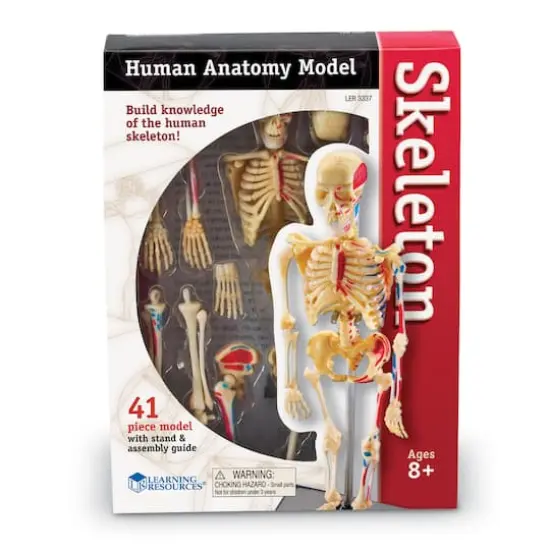 Learning Resources&reg; Skeleton Anatomy Model {4}