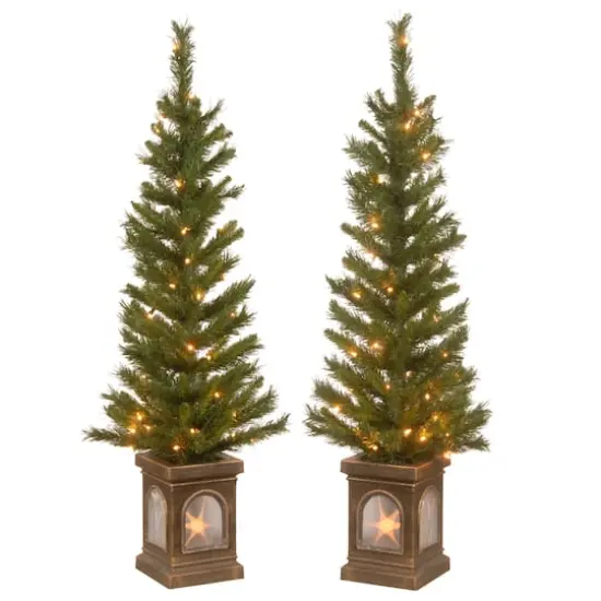4ft. Pre-Lit Lehigh Valley Pine Entrance Trees with Clear Lights, Set of Two {1}