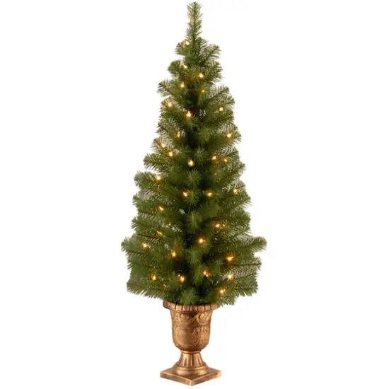 4ft. Pre-Lit Montclair Spruce Entrance Artificial Christmas Tree with Clear Lights {1}