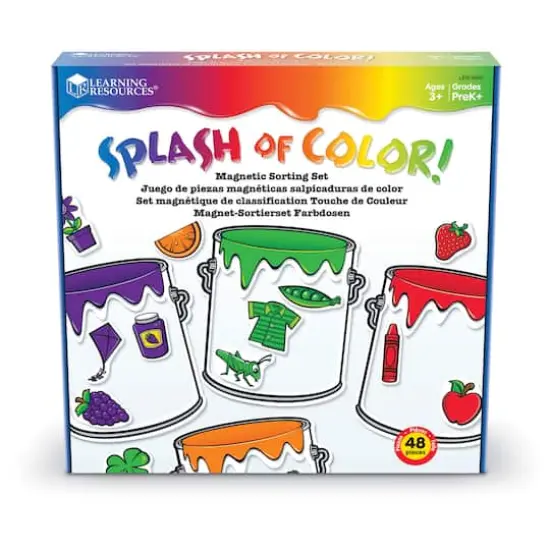 Splash Of Color! Magnetic Sorting Set {3}