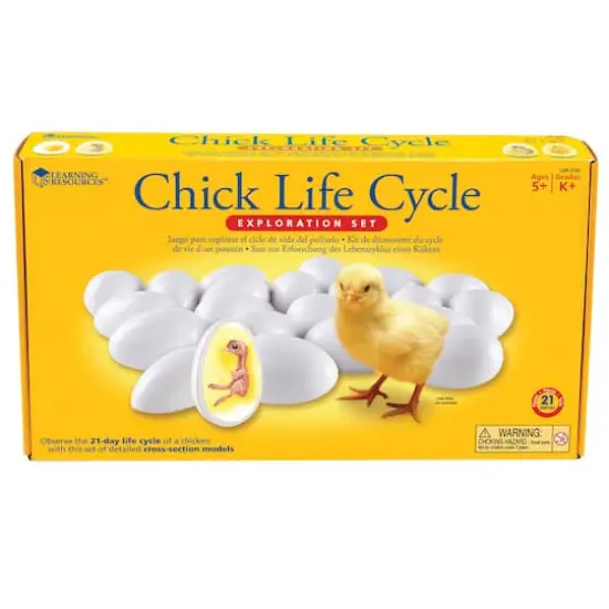Learning Resources&reg; Chick Life Cycle Exploration Set {1}