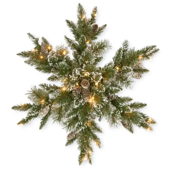 32" Glittery Bristle&reg; Pine Snowflake with White Tipped Pine Cones & Warm White LED Lights {1}