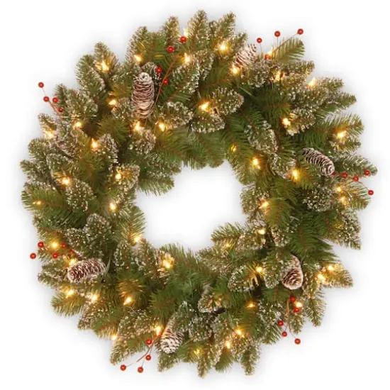 24" Glittery White Edged Cones & Red Berries Mountain Spruce Wreath With Warm White LED Lights {1}