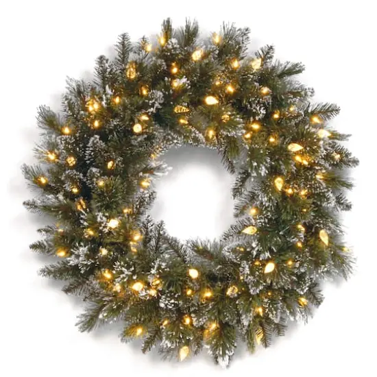 24" Glittery Bristle&reg; Pine Wreath with Warm White LED Lights {1}