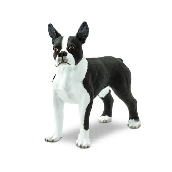 Safari Ltd&reg; Best In Show Dogs Boston Terrier {5}