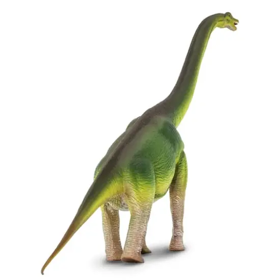 Safari Ltd&reg; Wild Safari&reg; Prehistoric World Brachiosaurus {5}
