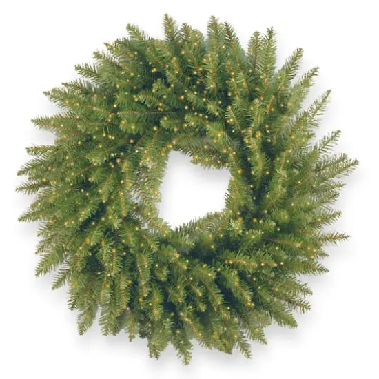 24" Kingswood&reg; Fir Wreath with 250ct. Warm White Battery Operated LED Infinity&trade; Lights {1}