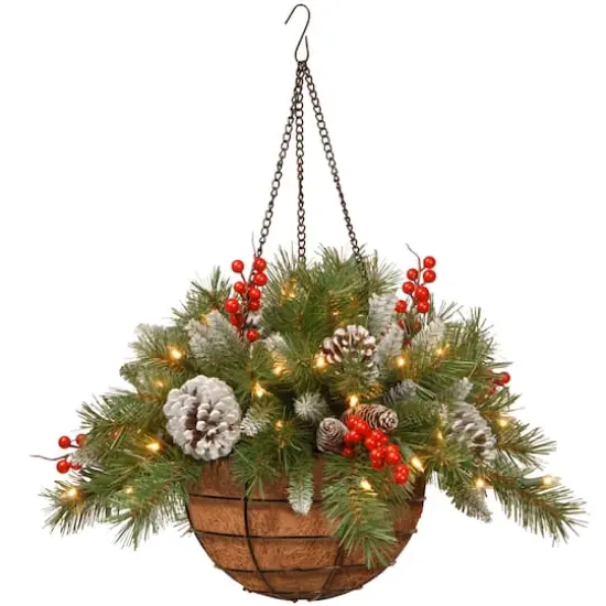 20" Pre-lit Frosted Berry Artificial Christmas Hanging Basket with Cones, Red Berries and Warm White LED Lights {1}