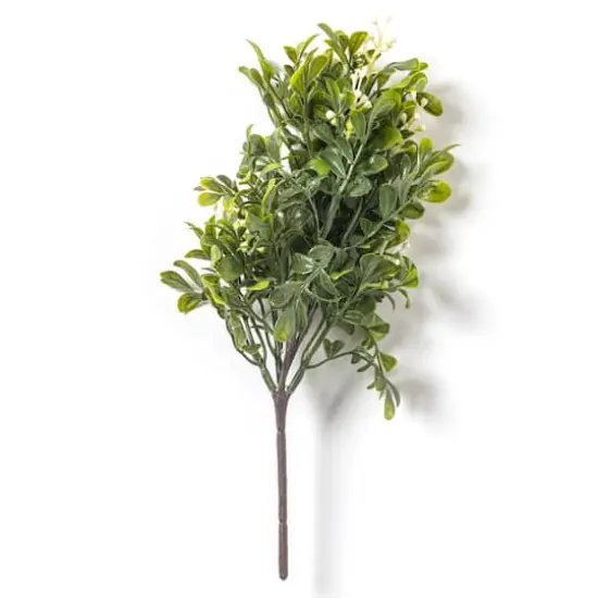 11" Boxwood Pick by Ashland&reg; {6}