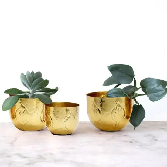 Hello Honey&reg; Antique Gold Debossed Metal Planter Set {5}