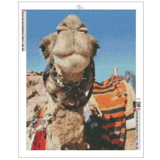 Sparkly Selections Happy Camel Near Petra, Jordan 40cm x 50cm Diamond Painting Kit, Square Diamonds {3}