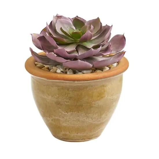 12" Purple & Green Succulents in Ceramic Vases, 2ct. {3}