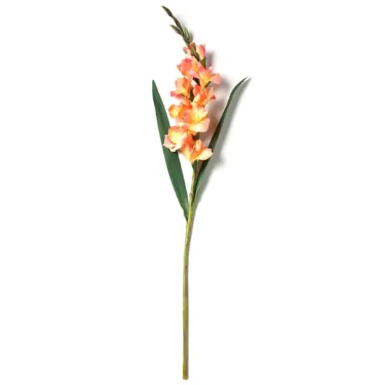 Gladiolus Stem by Ashland&reg; Salmon {5}