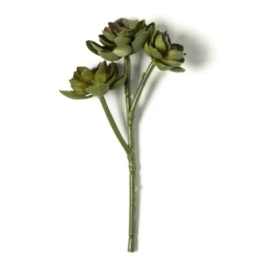 Ashland&reg; Succulent Pick {5}