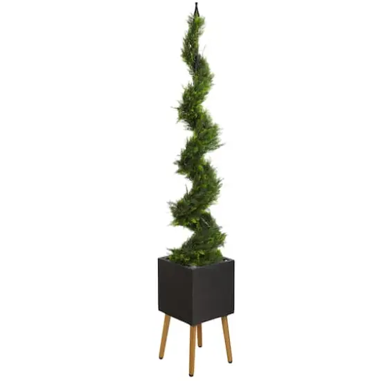 6.25ft. Cypress Spiral Tree in Black Planter with Stand {1}