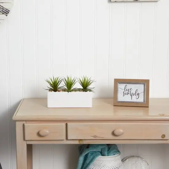 8" Mini Agaves in Rectangular Ceramic Planter {6}