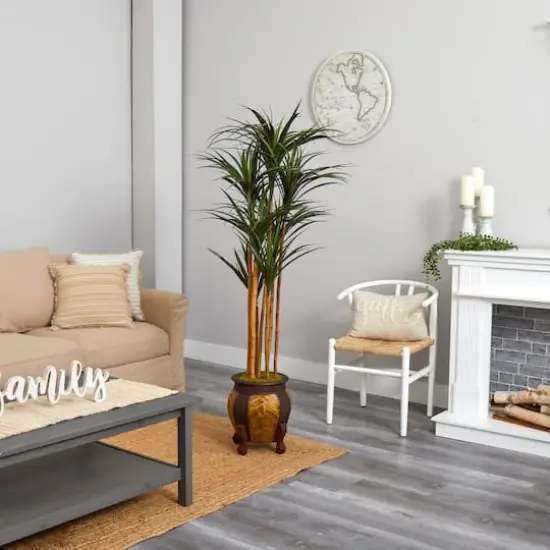 5ft. Giant Yucca Tree in Decorative Planter {4}