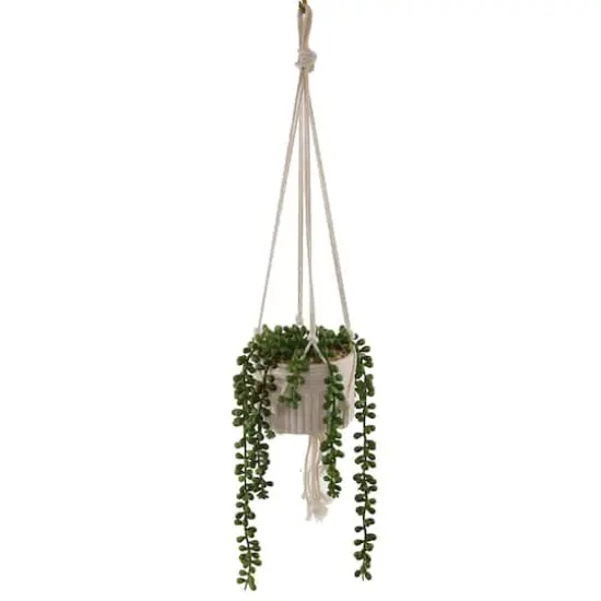 Flora Bunda&reg; 5.5" String Of Pearls Macram&eacute; Hanging Ceramic Donkey Tails  {1}