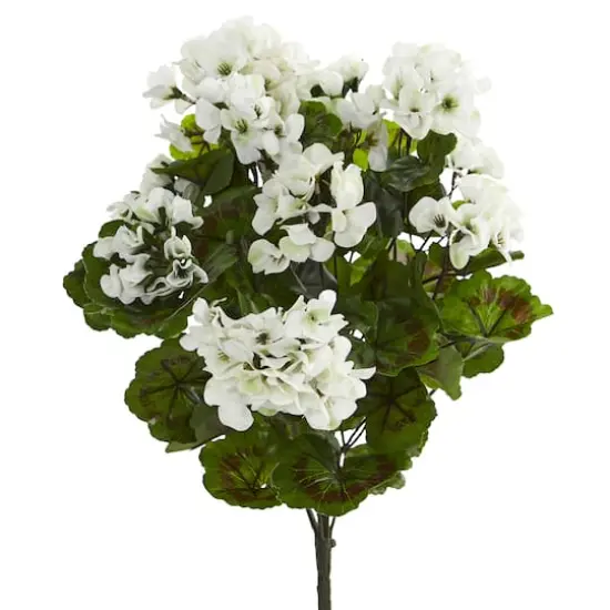 White Geranium Bush, 3ct. {1}