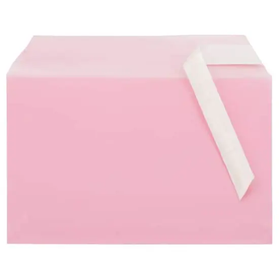 JAM Paper 5.43" X 8.62" Self Adhesive Closure Cello Sleeves, 100ct. Light Red {4}