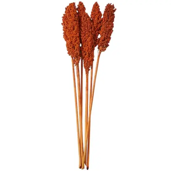 Dried Corn Maize Natural Foliage with Long Stems Orange {1}
